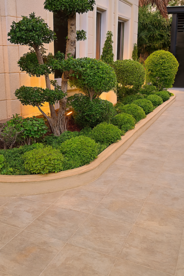 "Luxury villa backyard landscaping with lush green plants, curved stone pathway, and ambient lighting"